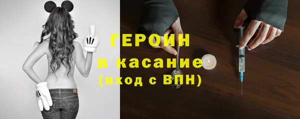 амф Гатчина