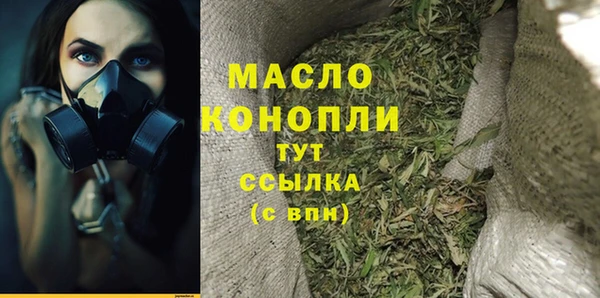 тгк Бородино