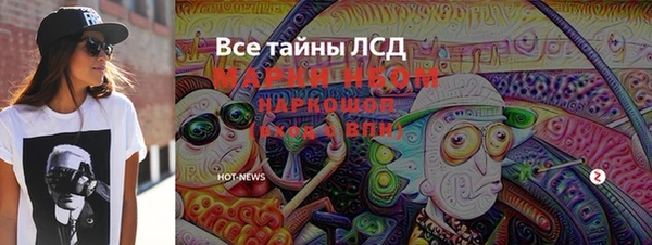 тгк Бородино