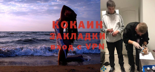 тгк Бородино